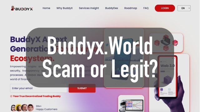 buddyx.world review