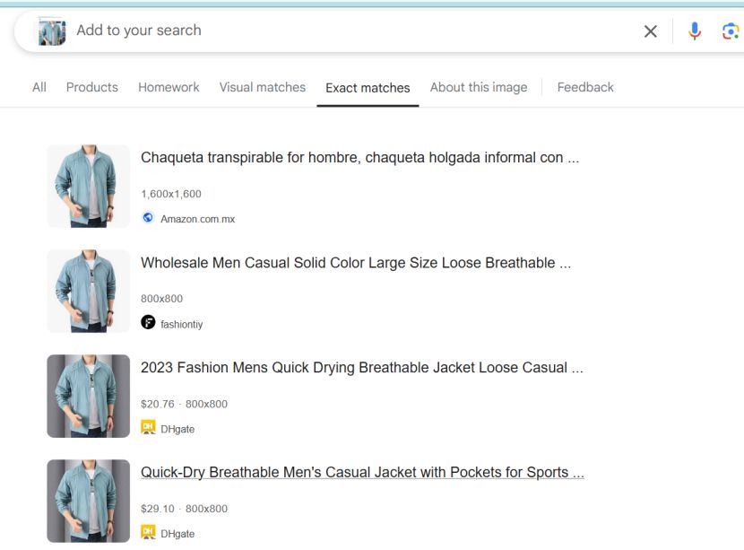 Carylook.com Copied Product Images