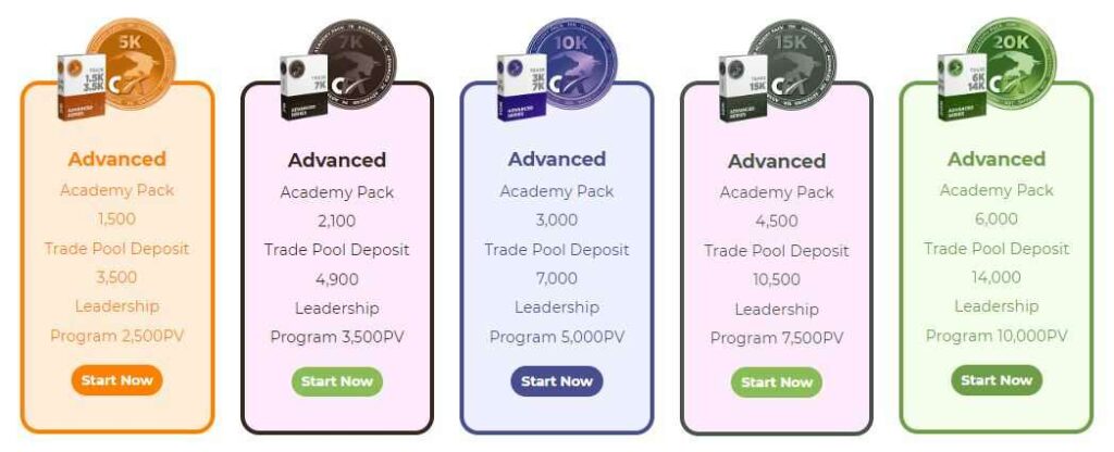 cashfx advanced plans