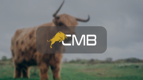 CoinMarketBull Review