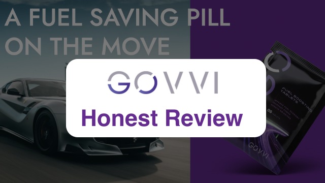 govvi review