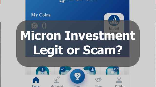 Micron Investment Review