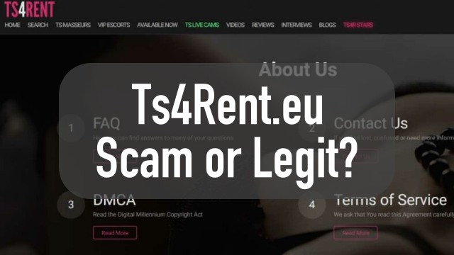 ts4rent.eu review