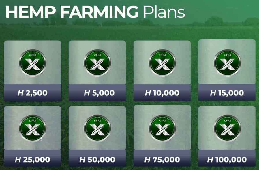 xifra hemp plans