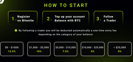 Bitonite Joining Process