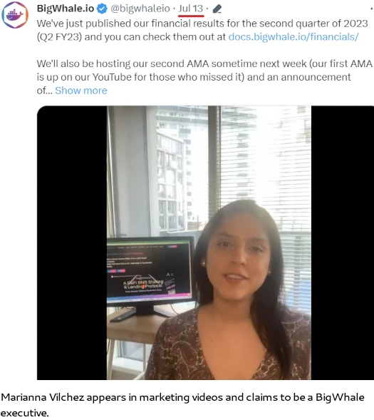 bigwhale only executive