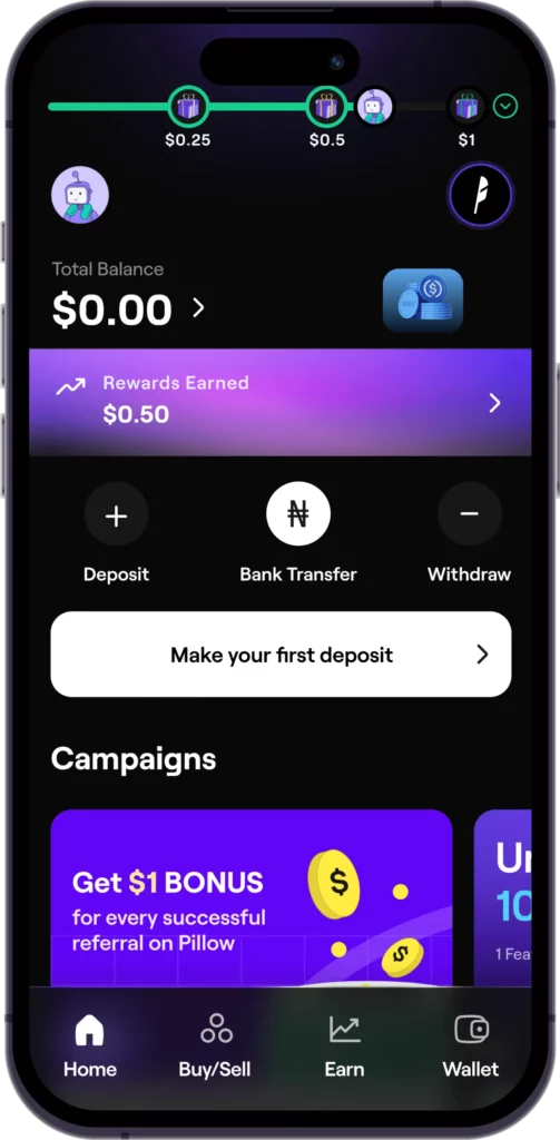 Pillow-Fund-Legit-Scam